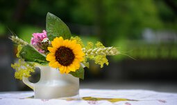 Vase mit Sonnenblume und Gräsern | © Daniel Kann